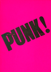 'Not Another Punk Book' by Isabelle Anscombe