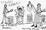 Stripey Zebras: Live In Burnett's Bedroom (New Crimes Tapes, NC1)
