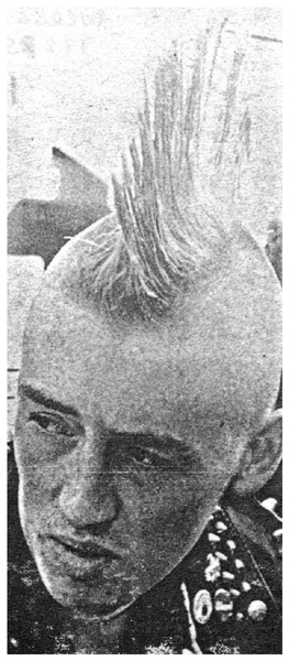 Weeble in The Evening Echo - 1985