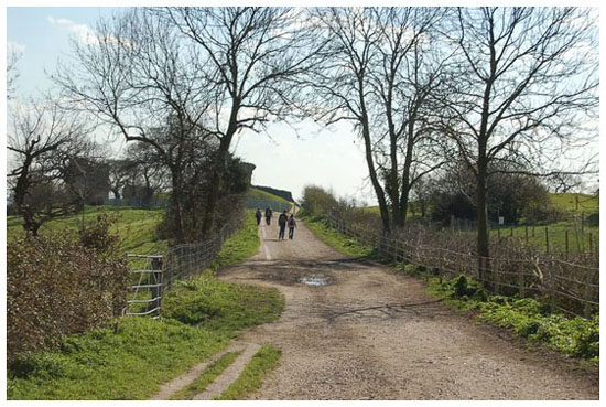 Hadleigh Castle - Photograph by China Doll