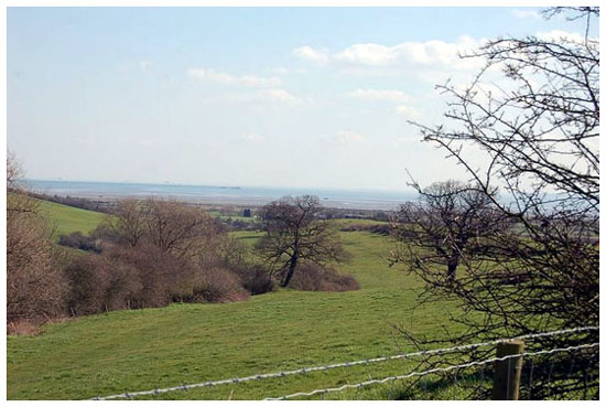 Hadleigh Castle - Southend Pier in Distance